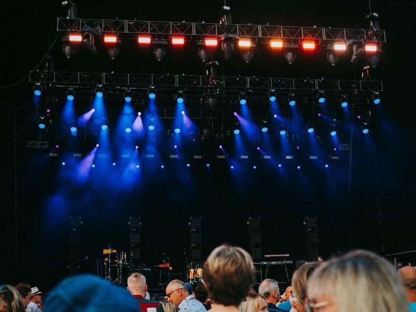 pubblico entusiasta a un concerto soul